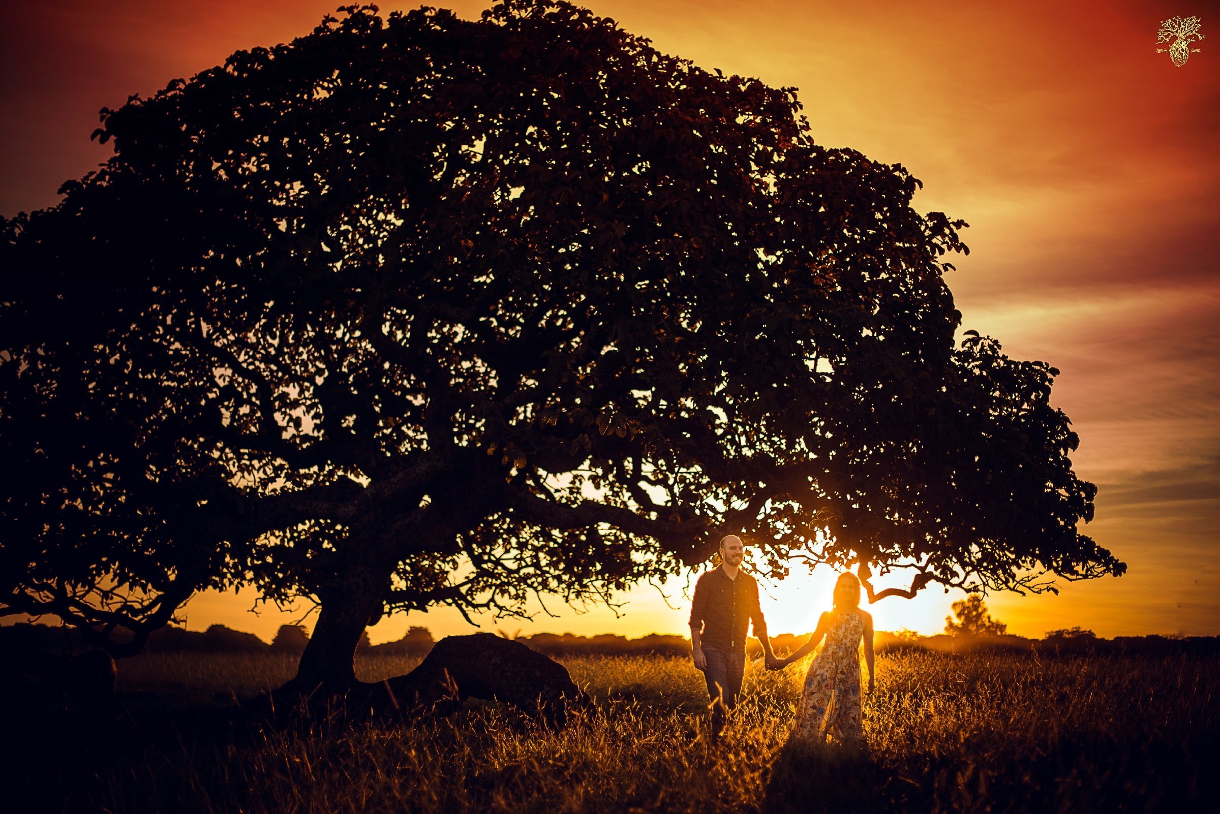 Foto de CALEFE FOTOGRAFIAS 6 Foto de CALEFE FOTOGRAFIAS 6